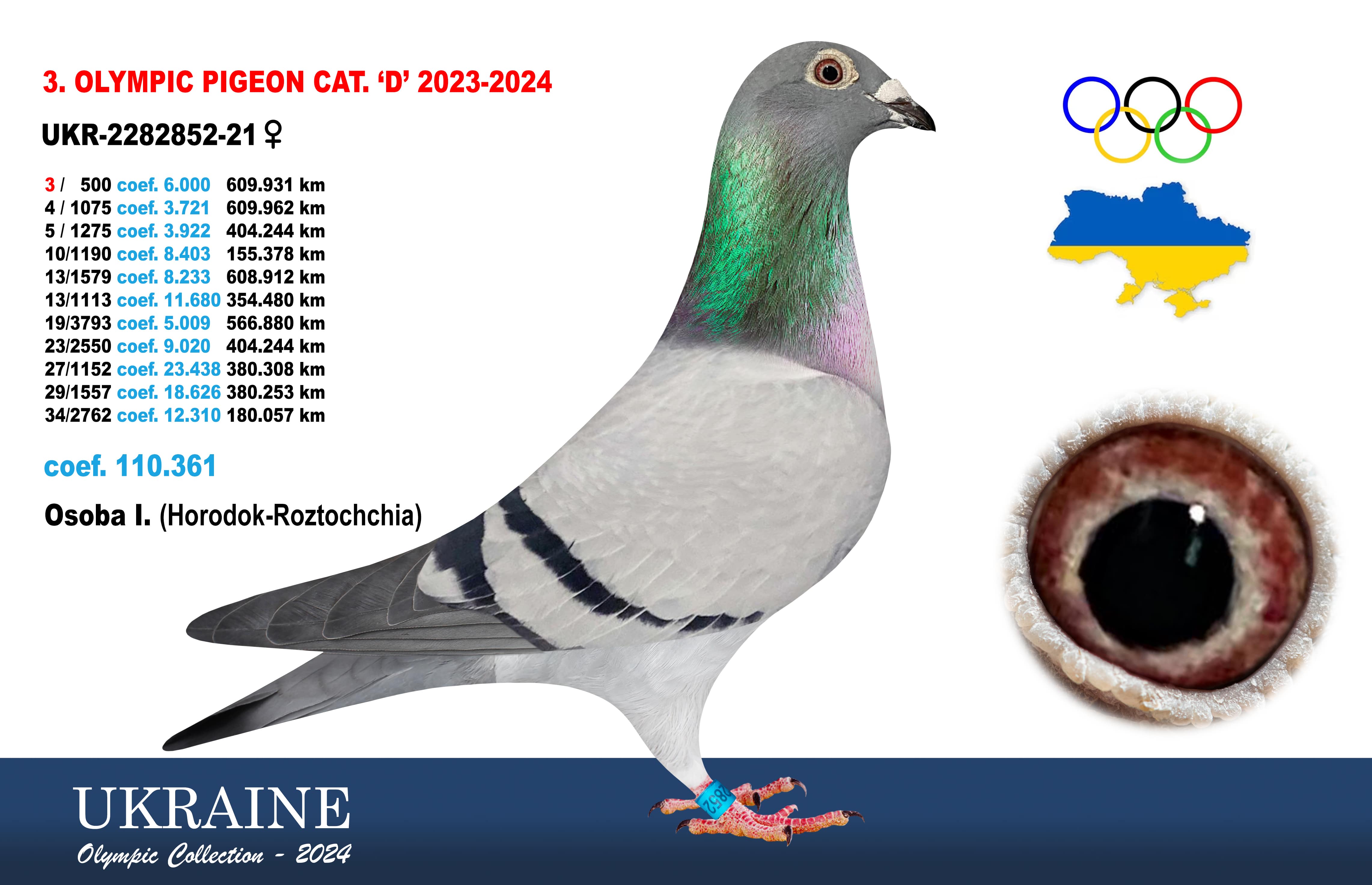 2024-D3